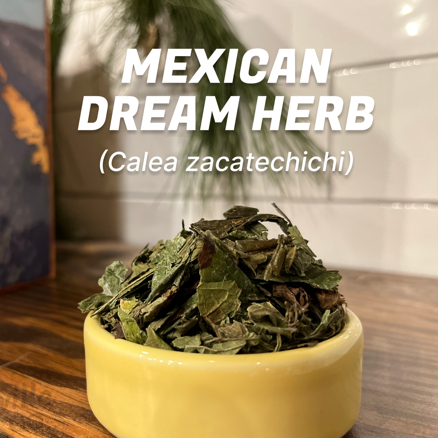 Mexican Dream Herbs | Sinicuichi &amp; Calea