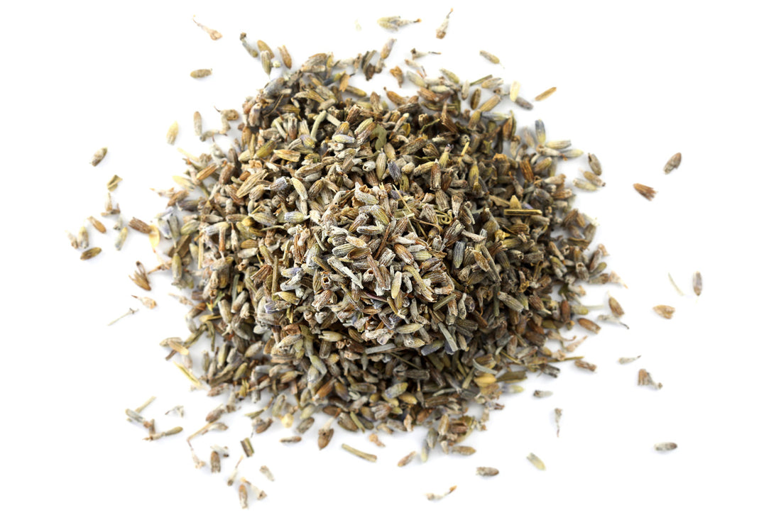 Lavender Flower | Lavandula X intermedia | Flavor