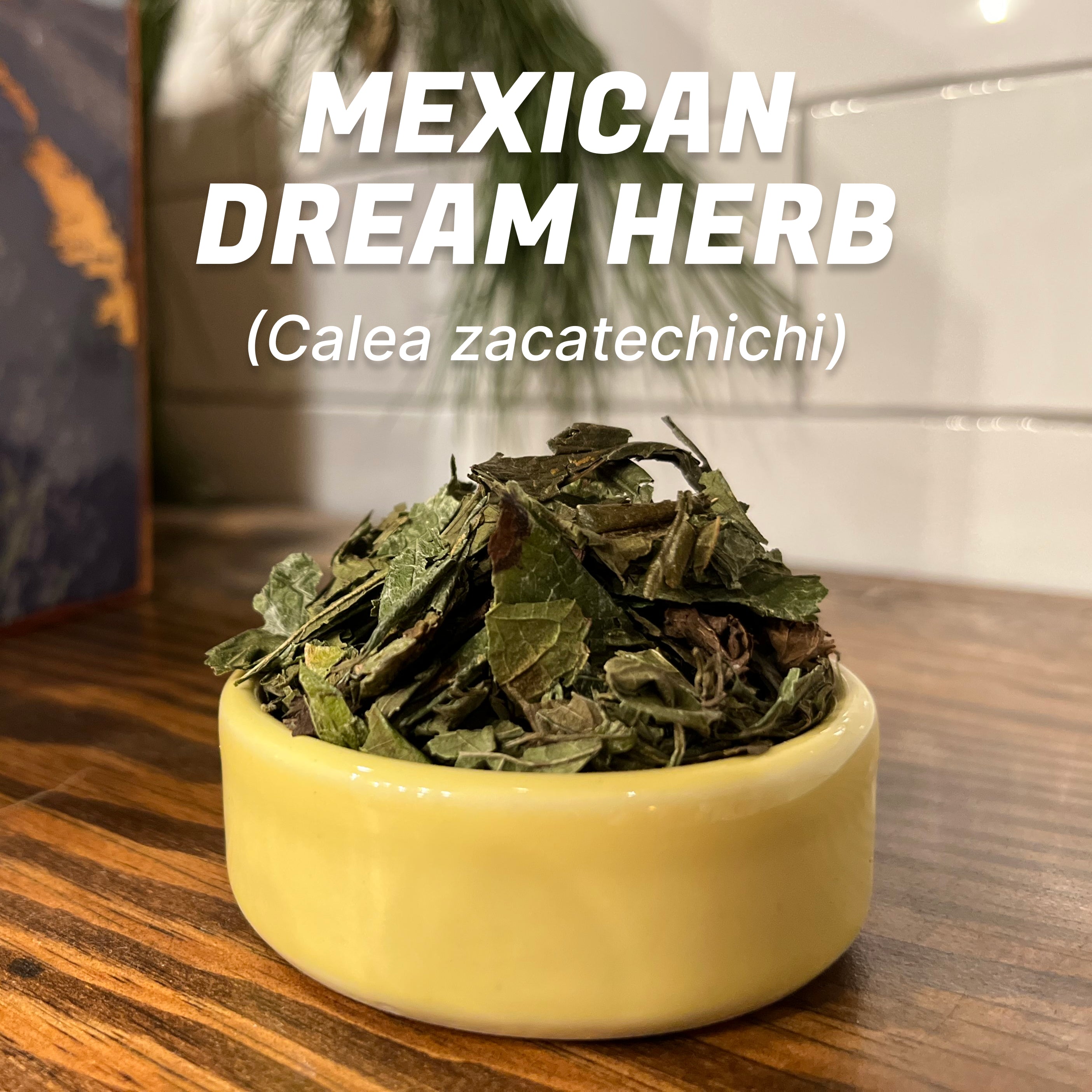 Mexican Dream Herb | Calea zacatechichi | Organic Dried Leaf