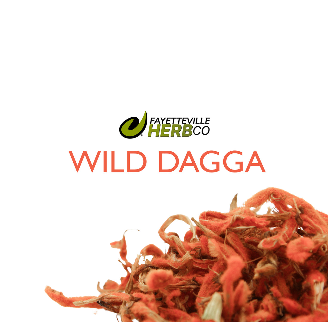 Wild Dagga | Leonotis leonurus | Lion&