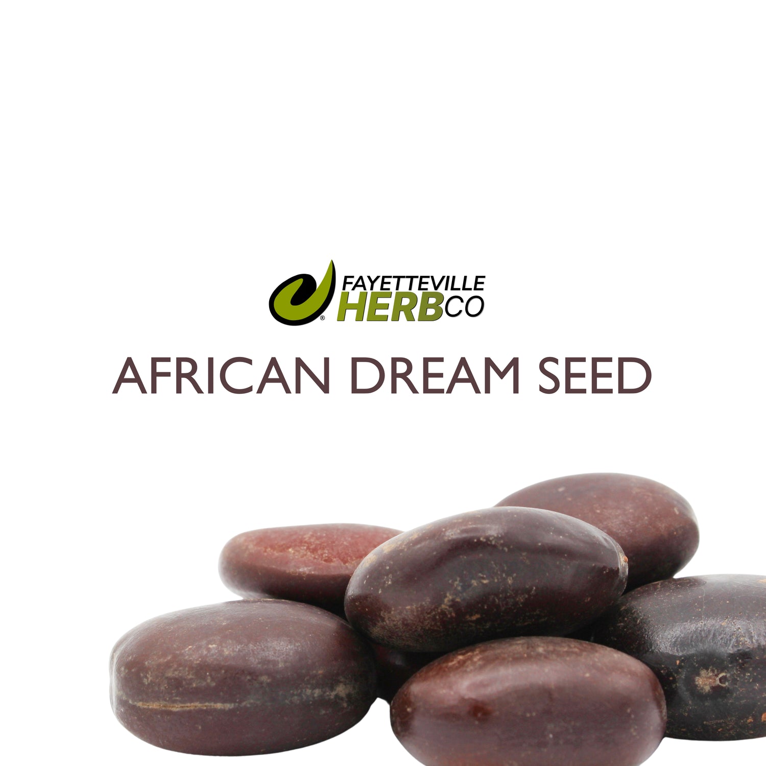 African Dream Seed | Entada rheedii | Seeds