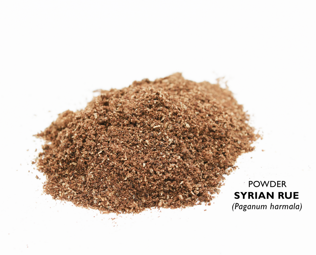 Syrian Rue Seeds | Whole & Powder | Incense